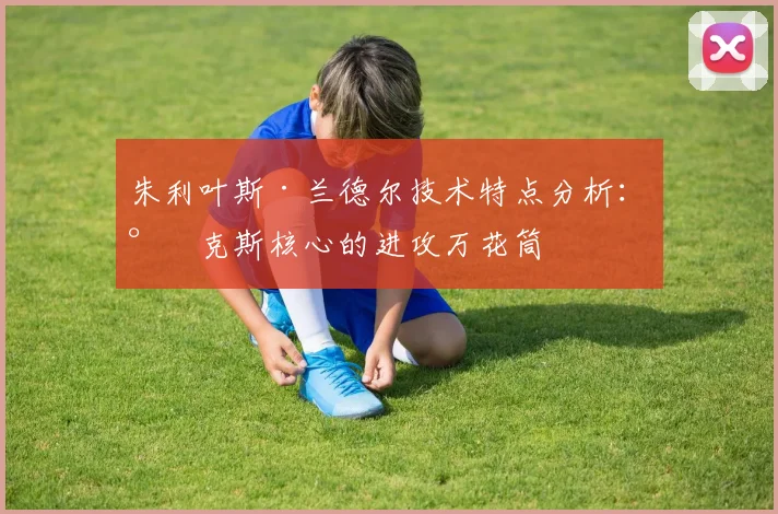 朱利叶斯·兰德尔技术特点分析:尼克斯核心的进攻万花筒